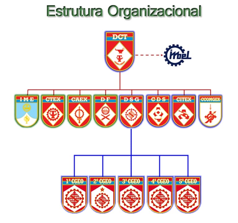 Estrutura Organizacional DSG